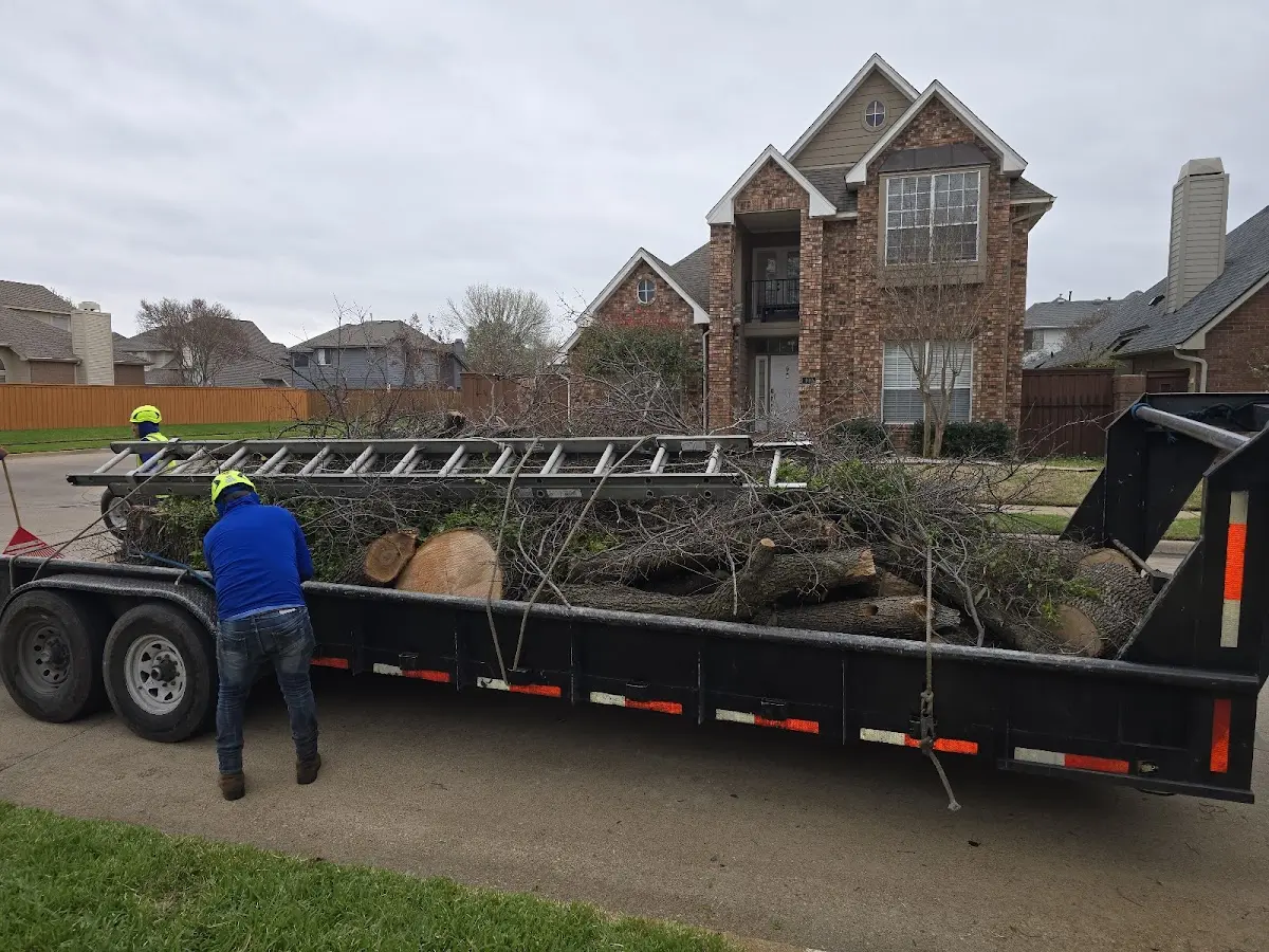 Expert Lot Clearing with proper safety equipment in Hulen